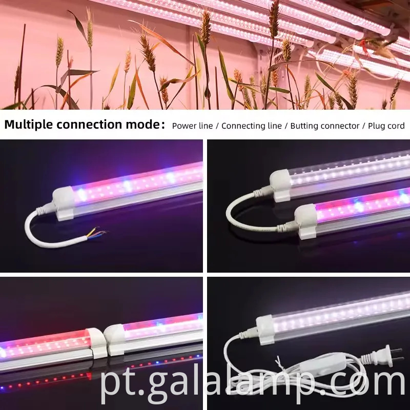 Cultive mudas, suplemento luz para crescimento, luz de planta T5 de espectro completo